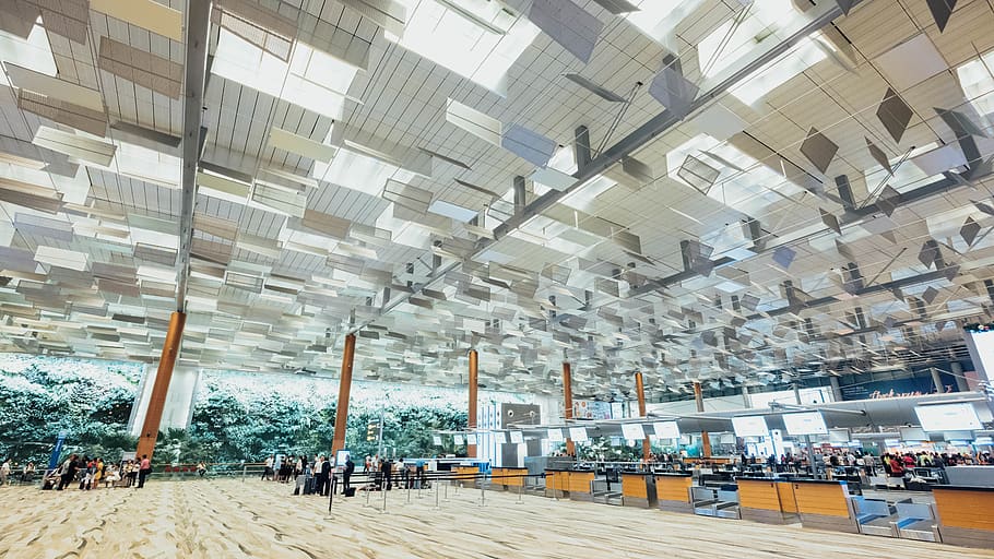 people standing inside building, airport, terminal, airport terminal HD wallpaper