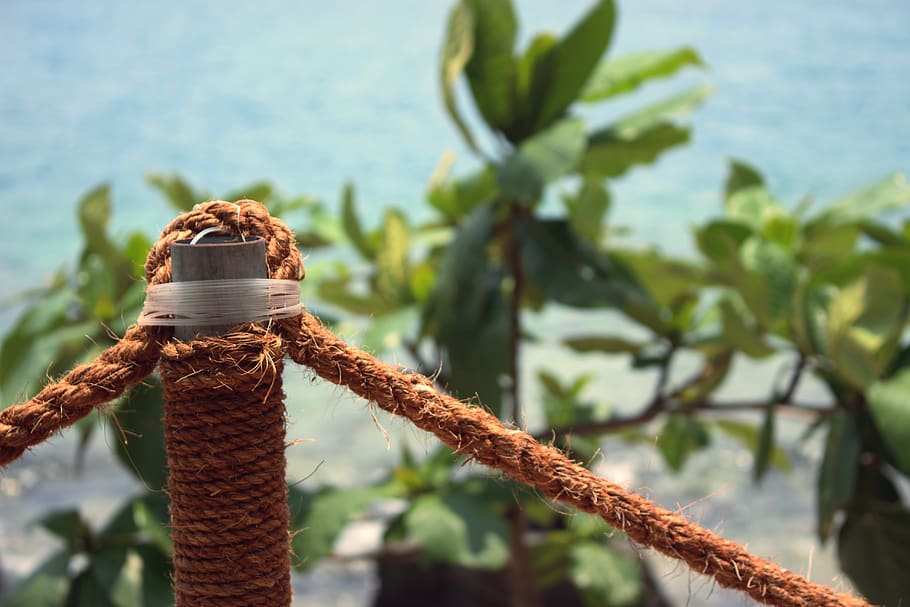 nha trang, leaf, plant, plant part, focus on foreground, nature HD wallpaper