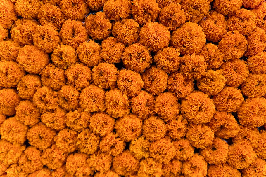 brown ball decor lot, plant, rug, pattern, texture, confectionery HD wallpaper