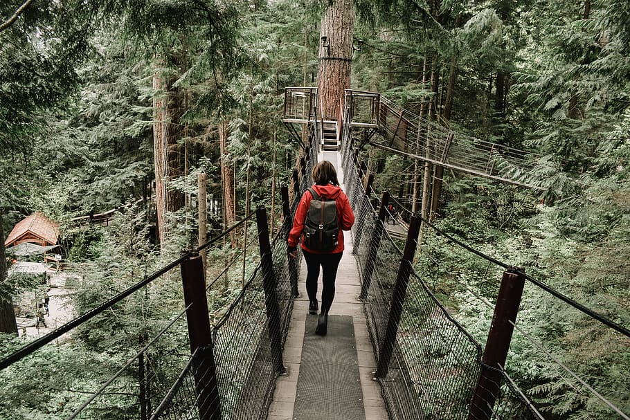 canada, west vancouver, capilano suspension bridge, hut, camp, HD wallpaper