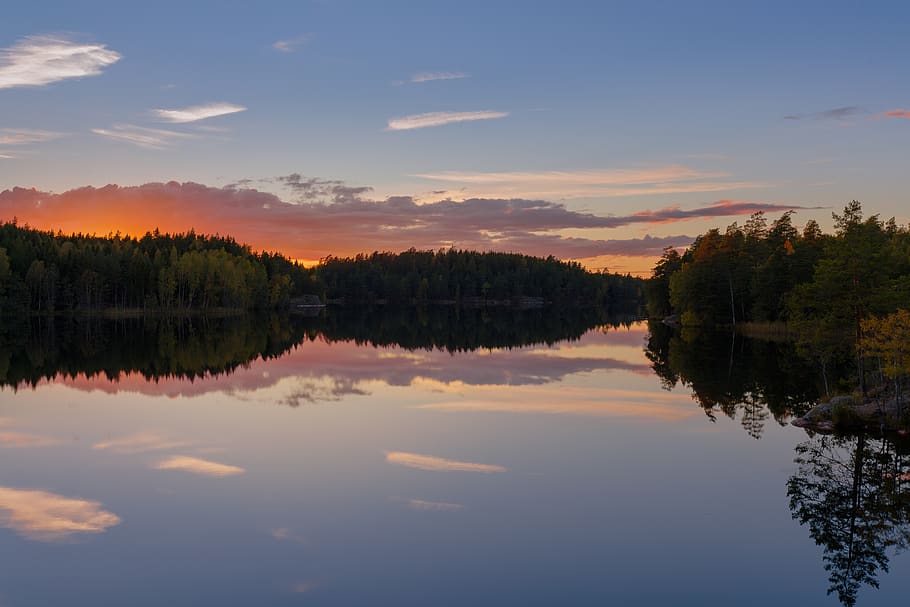 tree, glow, warm, cloud, cloudscape, autumn, varmdö, stockholm HD wallpaper