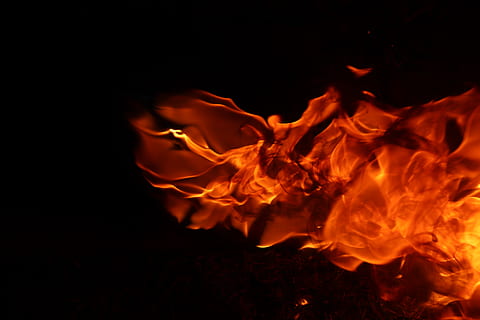red fire wallpaper, flame, bonfire, hearth, cricket insect, animal HD wallpaper