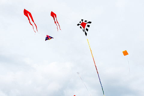 kites in sky, activity, air, background, beach, beautiful, blue HD wallpaper