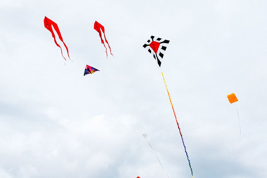 kites in sky, activity, air, background, beach, beautiful, blue HD wallpaper