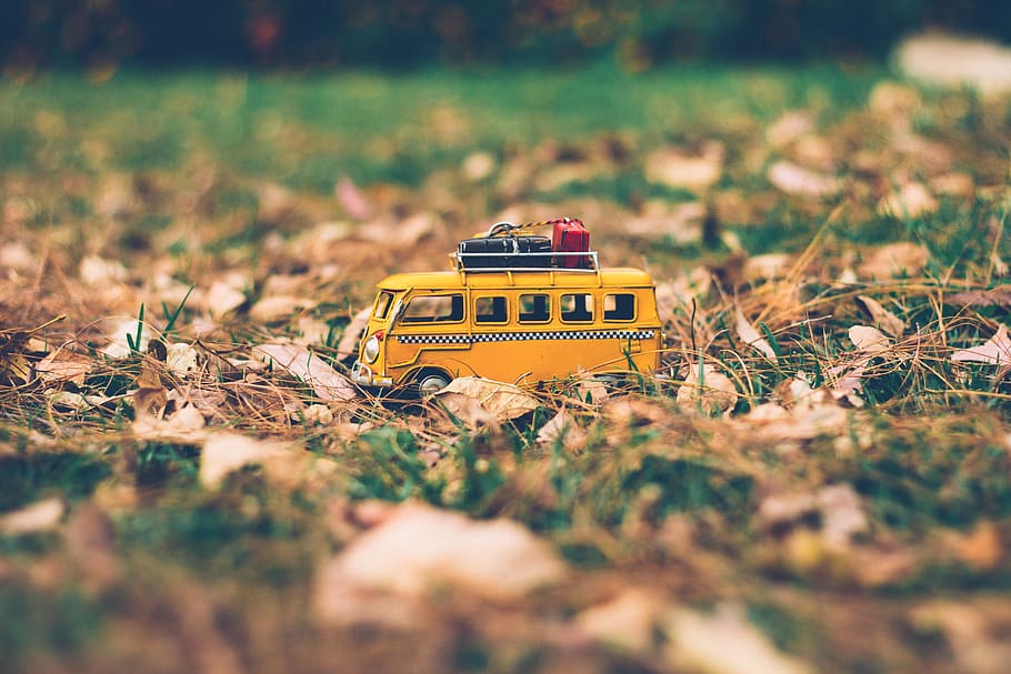 Yellow Bus Toy, color, daylight, environment, grass, greenery HD wallpaper