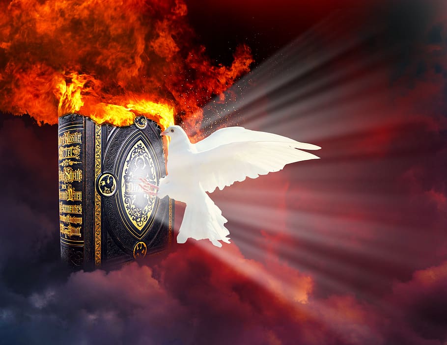 dove, flame, clouds, bible, religion, fire, burning, fire - natural phenomenon HD wallpaper