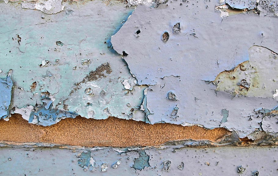 animal, bird, rust, tar, stain, pollution, nature, rock, outdoors HD wallpaper