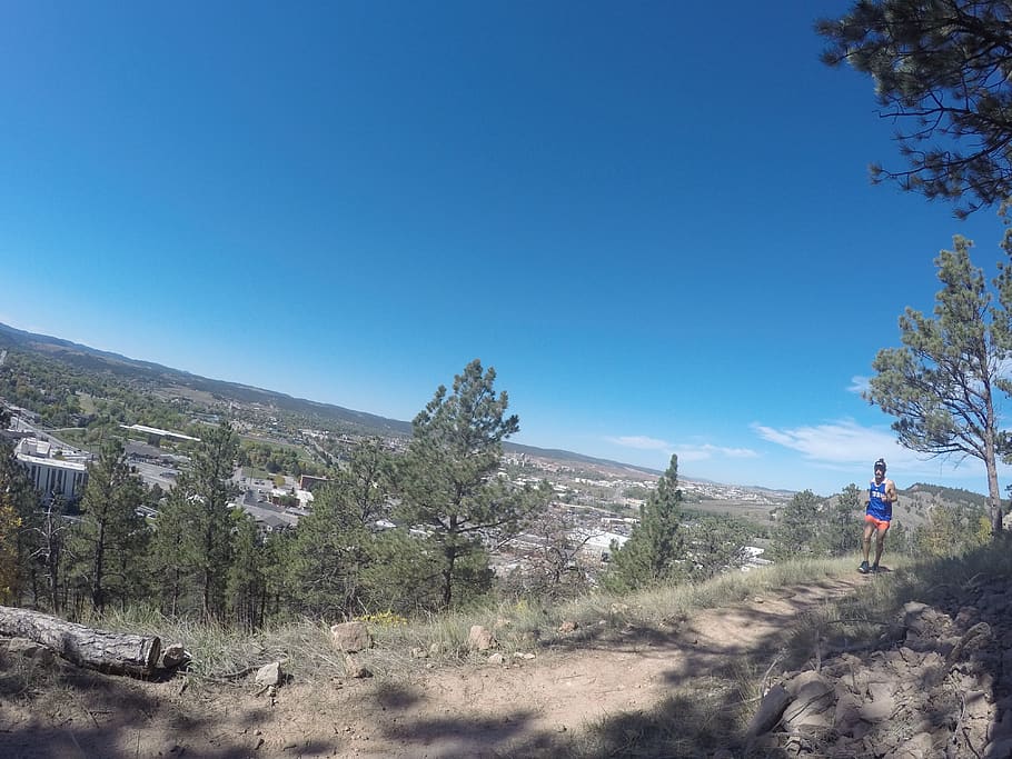 trail, trees, black hills, rapid city, south dakota, trail running HD wallpaper