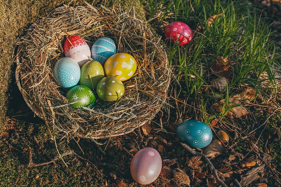 easter, easter eggs, colorful, colored, spring, easter theme HD wallpaper