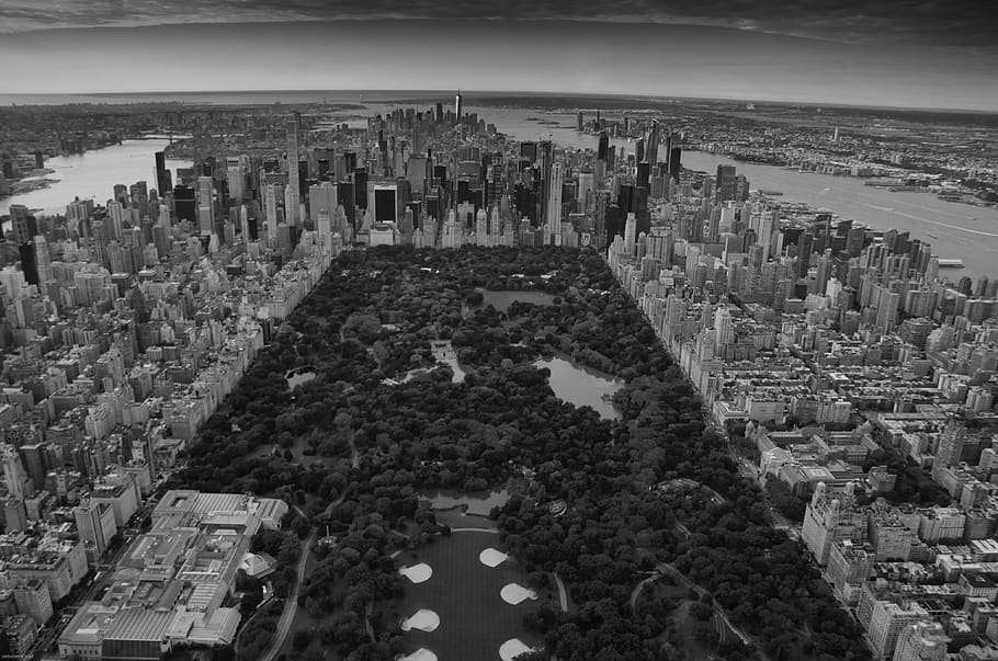 grayscale photo of Central Park, New York, nature, outdoors, landscape, HD wallpaper