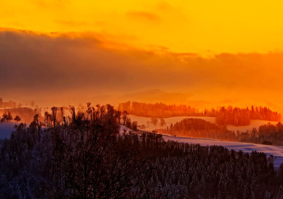 sunset, orange, sky, trees, plant, nature, snow, winter, scenics - nature HD wallpaper