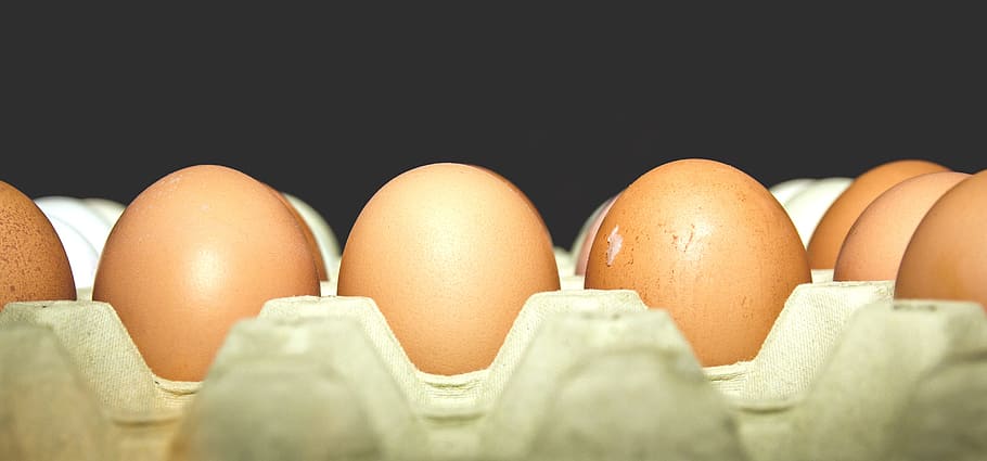 Fresh eggs, easter, ingredient, ingredients, food, food and drink HD wallpaper