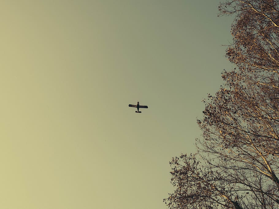plane, minimalism, dom, flight, sky, trees, air vehicle, mode of transportation HD wallpaper