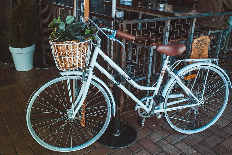 HD wallpaper: White City Bike, architecture, basket, bicycle, cyclist