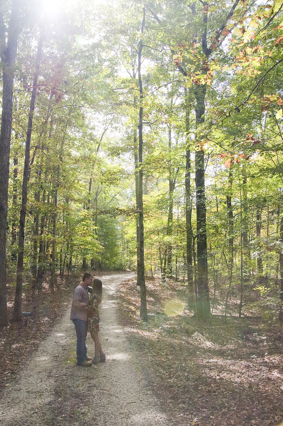 trees, forest, love, couple, kiss, plant, full length, land HD wallpaper