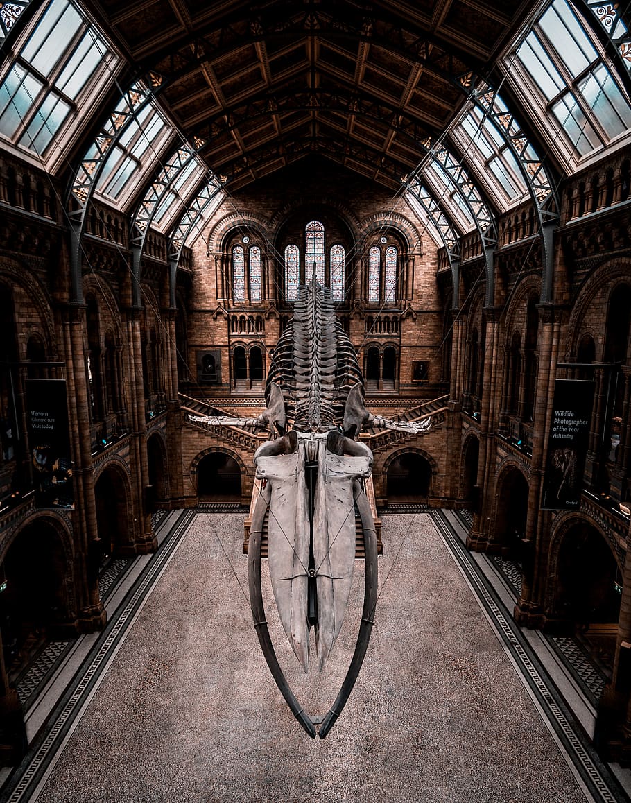 building interior collage, architecture, built structure, indoors HD wallpaper