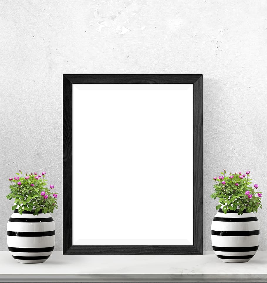 poster, frame, plants, desk, flower, flowering plant, copy space HD wallpaper
