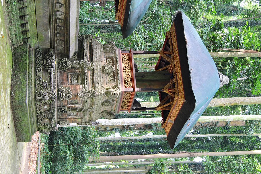 indonesia, monkey forest, temple, bali, day, plant, architecture HD wallpaper