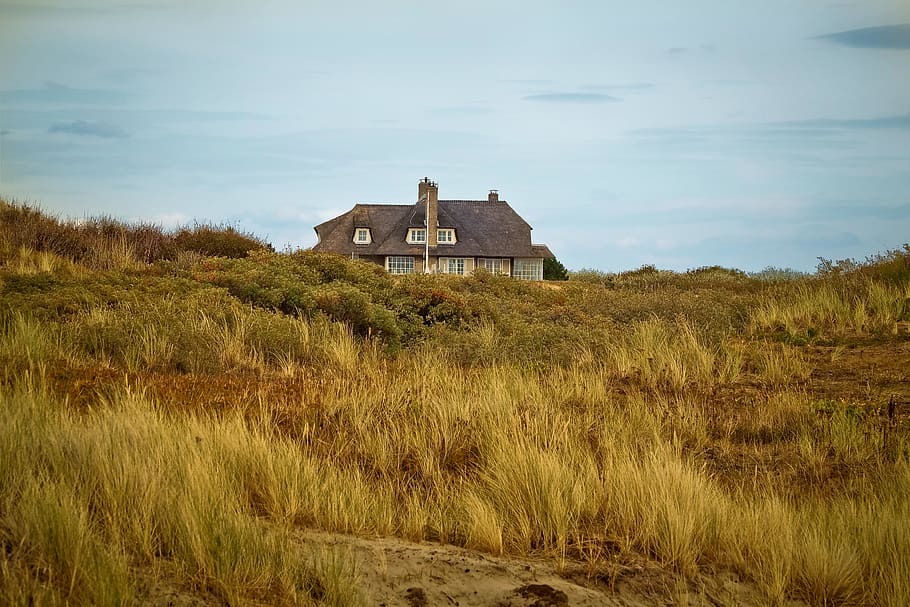 beach, dune, sand, sea, north sea, vacations, nature, summer HD wallpaper