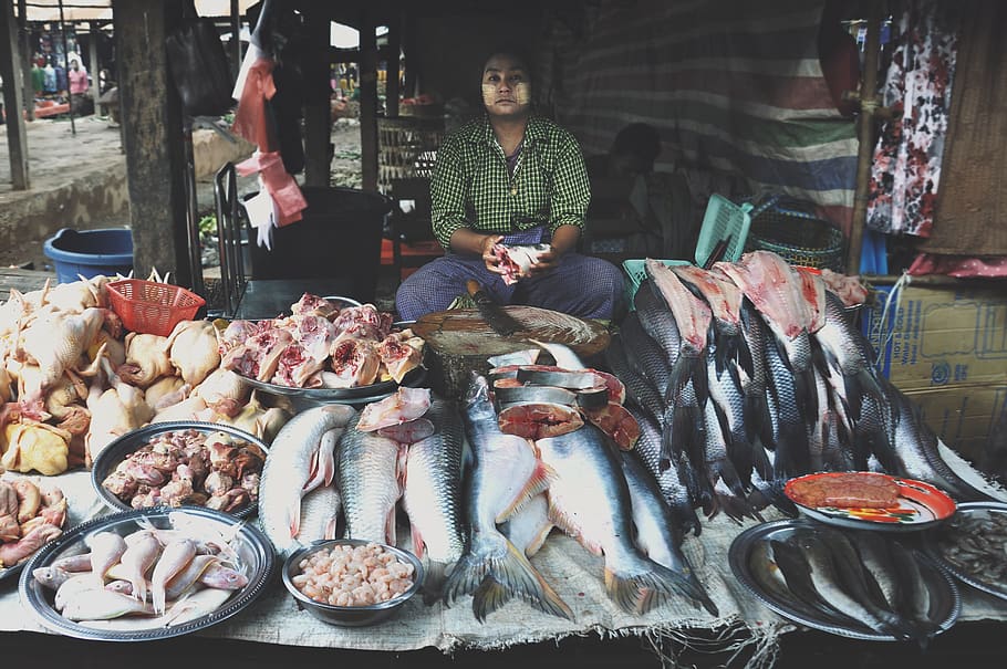 man sells fish, person, human, market, myanmar, shop, bazaar HD wallpaper