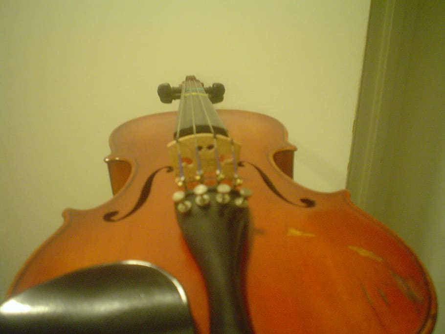strings, music, violin, musical instruments, string instrument HD wallpaper