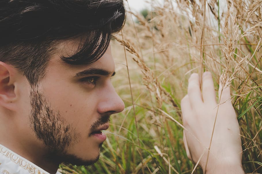man surrounded by green grass, plant, human, person, lawn, reed HD wallpaper
