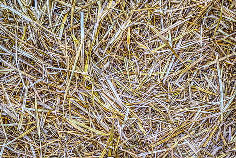 straw, structure, texture, background, harvest, harvested, dry HD wallpaper