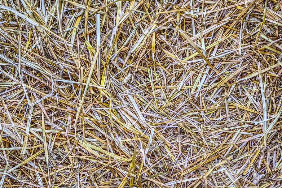 straw, structure, texture, background, harvest, harvested, dry HD wallpaper