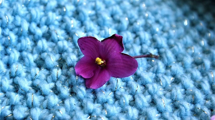 flower, silver thread, knitted fabric, motive, yarn, design, HD wallpaper