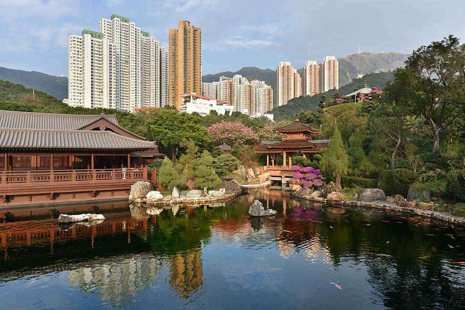 landscape, tree, nature, natural, hongkok, vacay, vacation, HD wallpaper