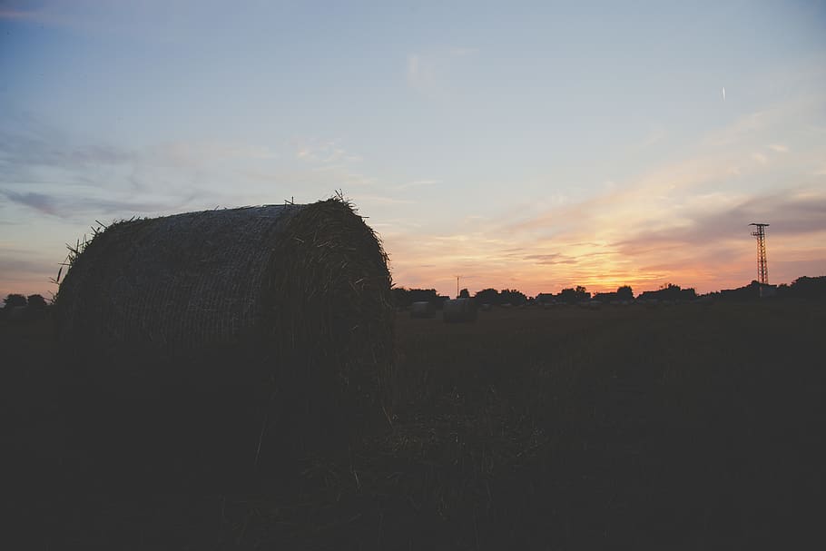 germany, rheinstetten, epplesee, barn, field, mow, crop, getreide HD wallpaper