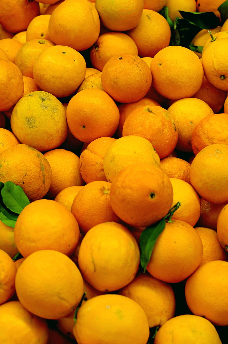 orange fruits on focus photography, food, citrus fruit, plant, HD wallpaper