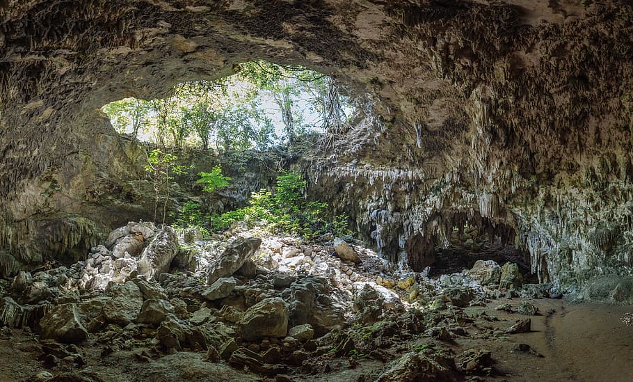 Cave Near Trees, daytime, environment, geology, landscape, park HD wallpaper
