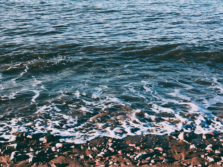 Shore, beach, daylight, ocean, rocks, sand, scenic, sea, seascape HD wallpaper