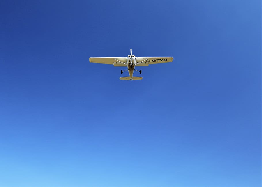 white monoplane on flight, bird, animal, flying, aircraft, airplane HD wallpaper