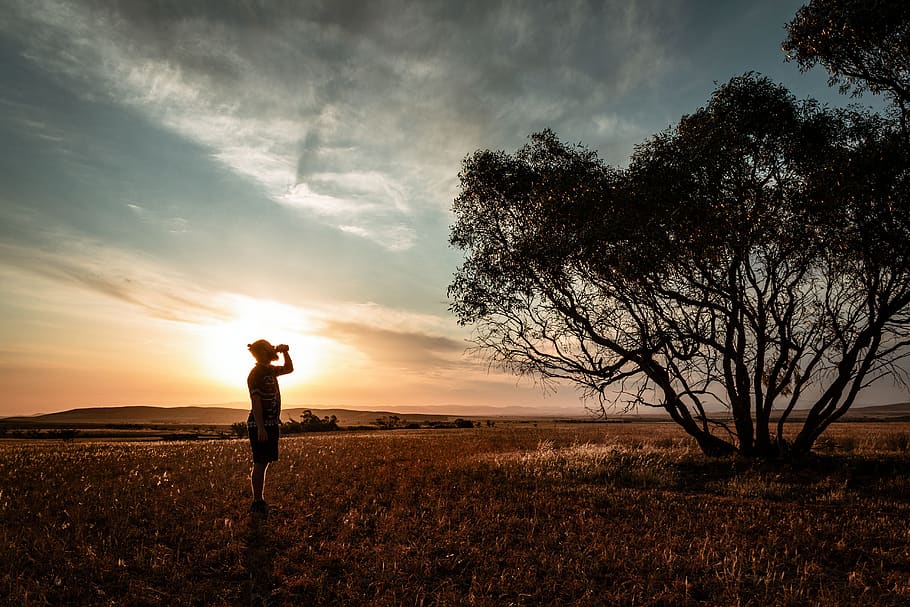australia, sky, tree, sunset, guy, men, field, romantic, movie HD wallpaper