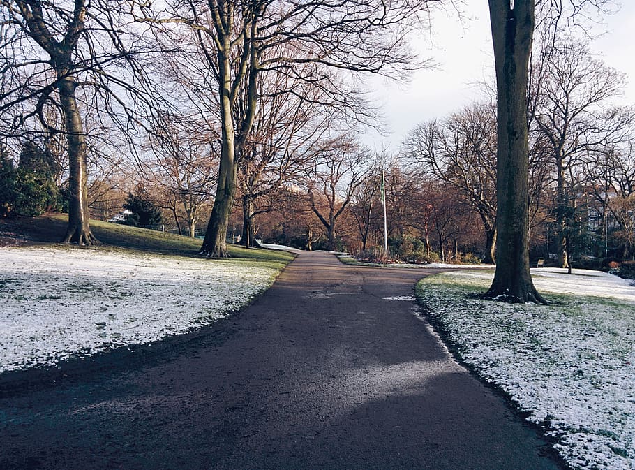 trees, path, pathway, snow, frost, sky, clouds, winter, nottingham HD wallpaper