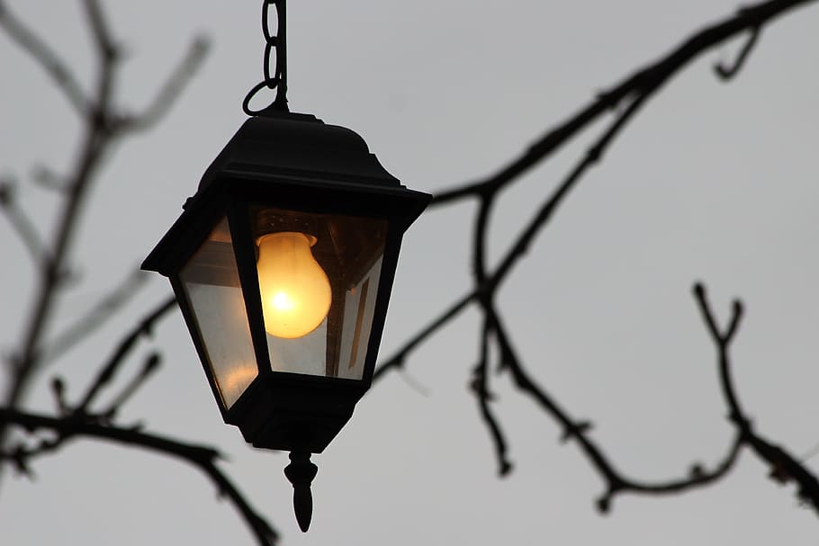 lantern, light, decoration, electricity, mood, evening, nature HD wallpaper