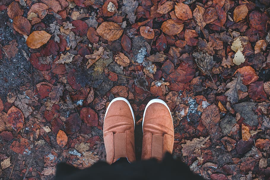 person standing on brown dried leaves, shoe, outdoors, ground, HD wallpaper