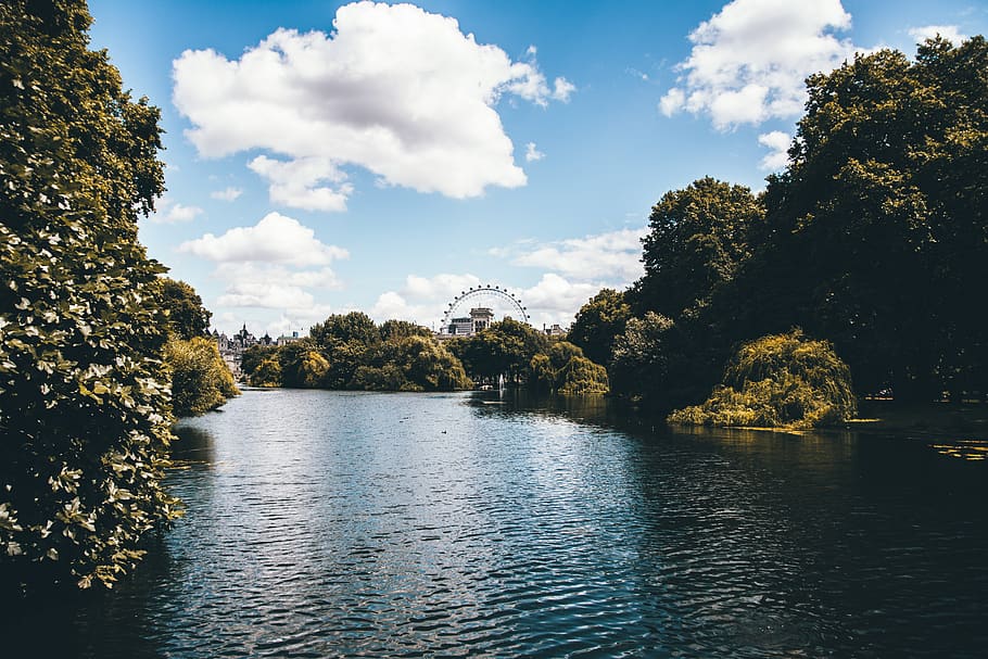 united kingdom, london, st. james's park station, tree, trees, HD wallpaper