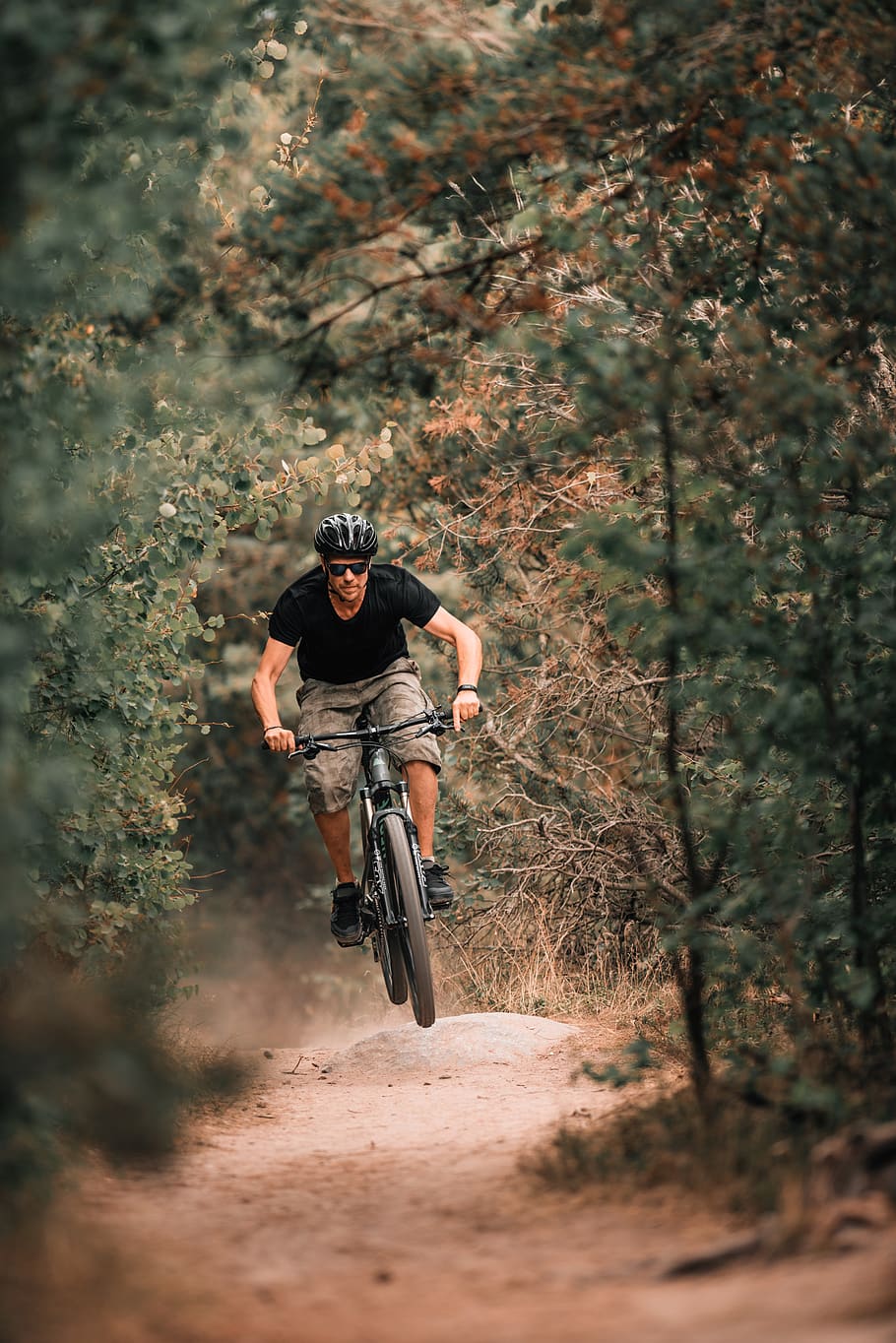 Person Riding A Bicycle, adventure, cyclist, forest, fun, man