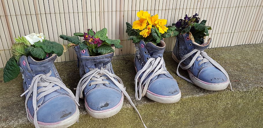shoes, plant, flower, spring, bloom, nature, planted, flora HD wallpaper