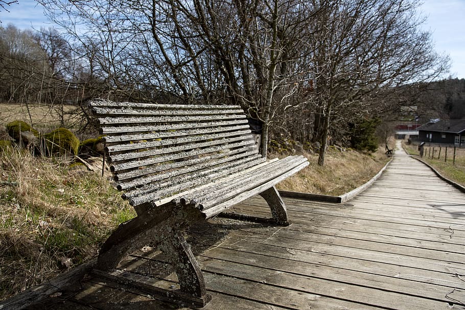 sofa, parksoffa, bench, wood, old, moss, seat, rest, wooden bench HD wallpaper