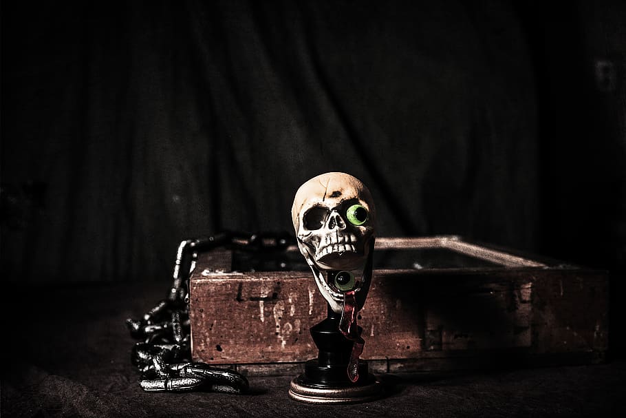 brown skull figurine, indoors, spooky, close-up, still life, no people HD wallpaper