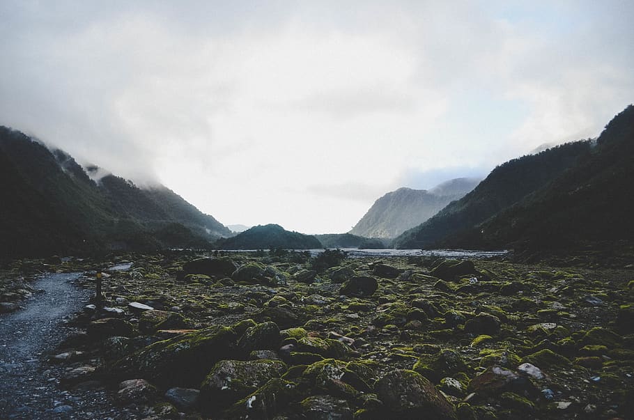 new zealand, franz josef glacier, valley, stream, river, mountains, HD wallpaper