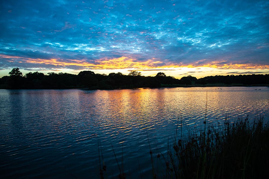 sunset, pond, sky, water, green, beauty in nature, tranquility HD wallpaper