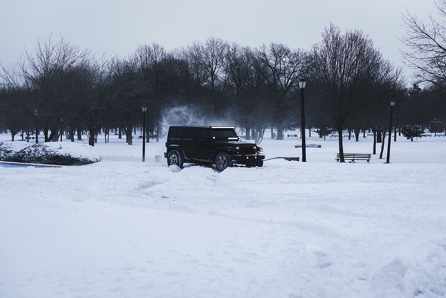 jeep, snow, winter, tree, park, new york, black jeep, wonder HD wallpaper
