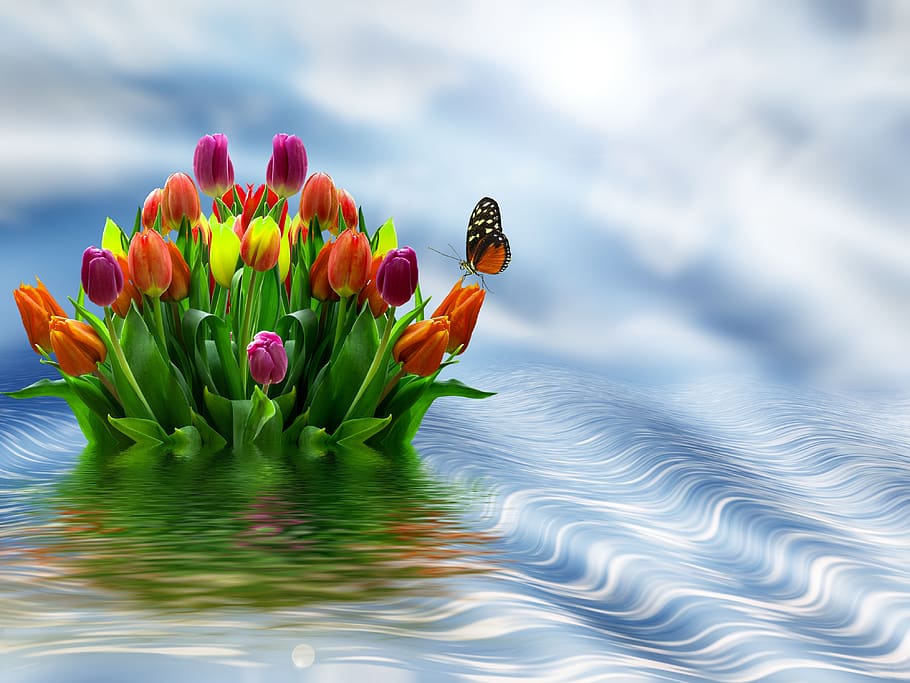 flowers, tulips, spring, reflection, colors, colorful, water HD wallpaper