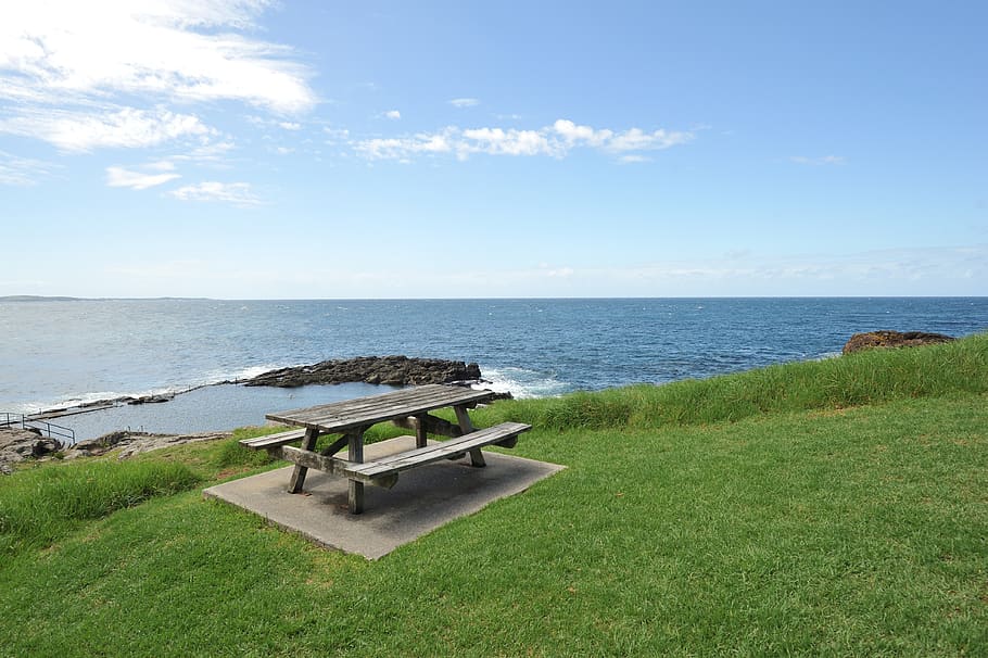 water, sea, sky, horizon, grass, horizon over water, beauty in nature HD wallpaper