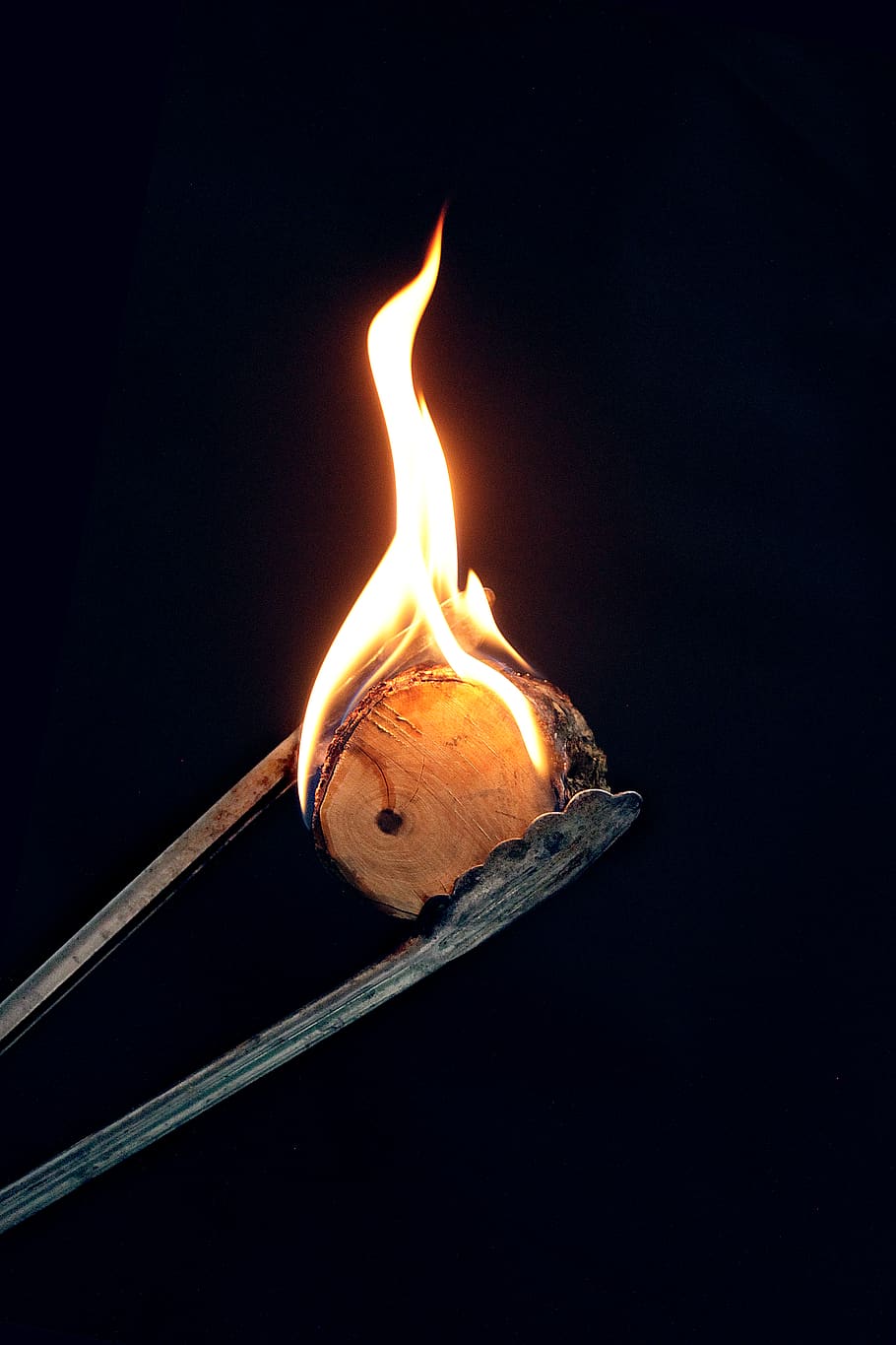 fire, flame, bonfire, wood, meat, chef, carbon, barbeque, camp HD wallpaper